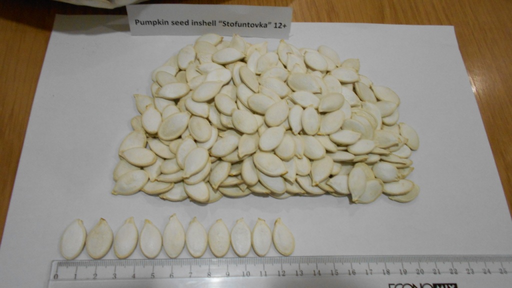Nueces