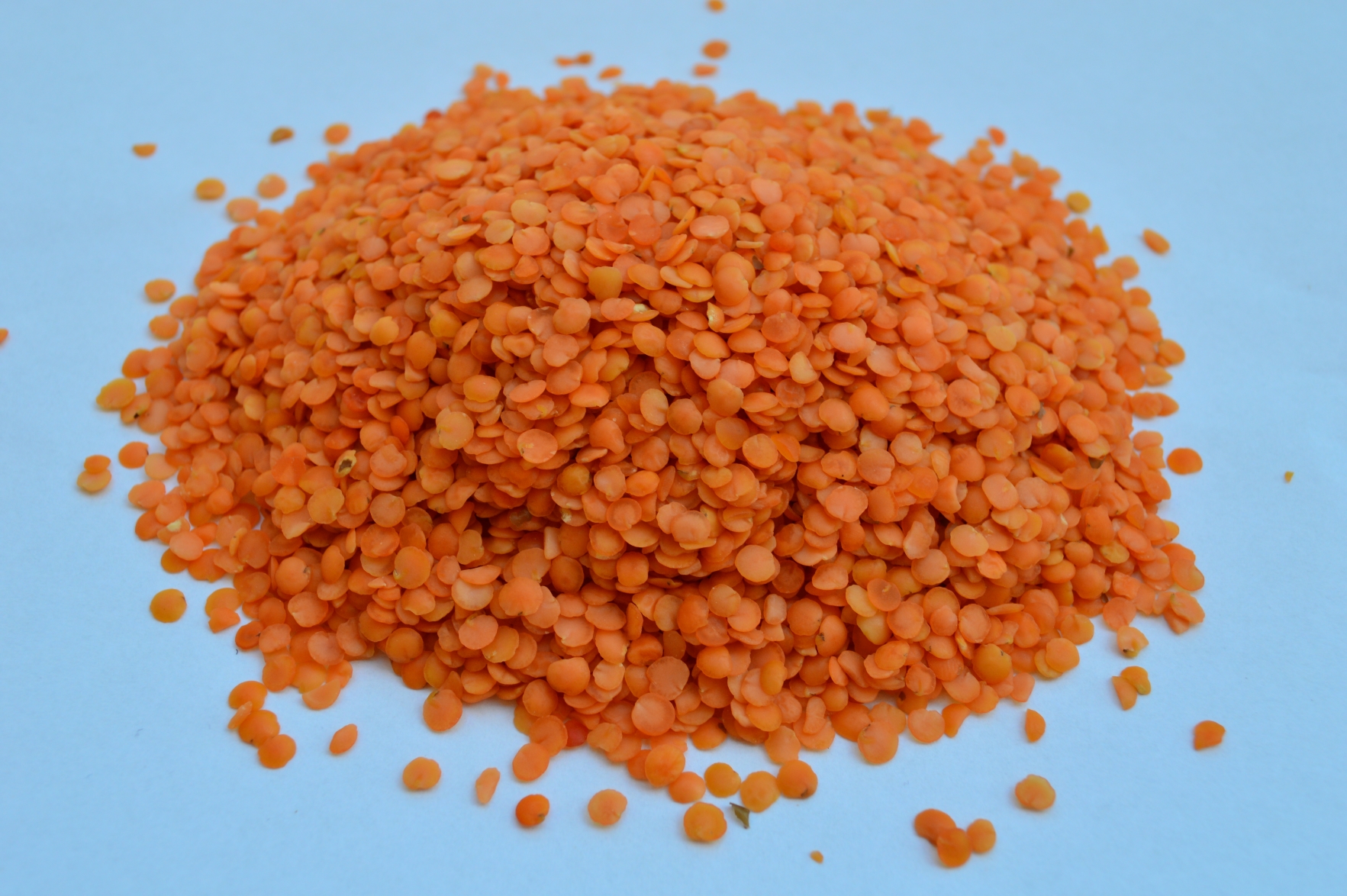 Lentils  Type: Red / Green