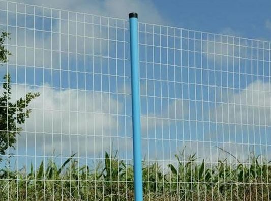 PVC Coated Euro Fence/Wire Fencing/Euro Welded Fence/Electro Welded Wire Mesh