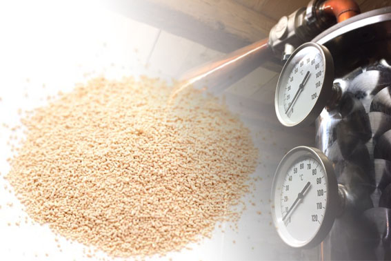Temperature Tolerant Batch Turbo Yeast