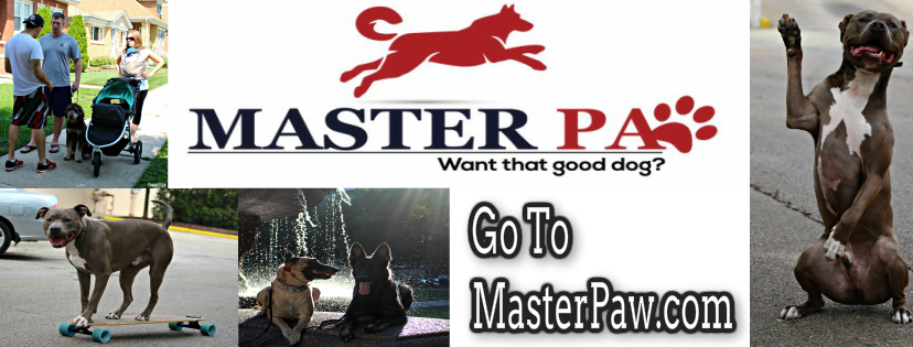 MASTERPAW- Dog training services