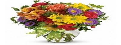 Servicios de reparto de flores