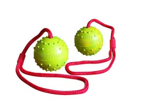 Dog Training Ball on String – Hollow