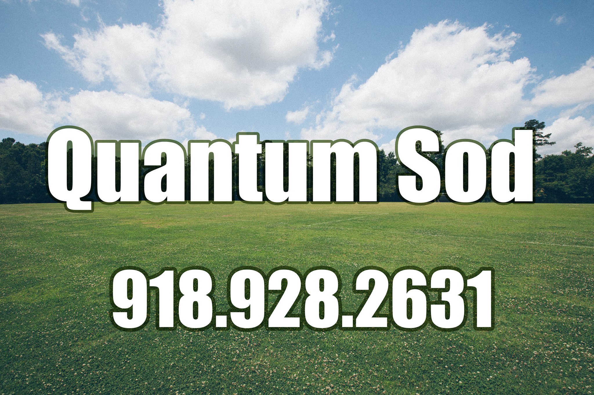 QUANTUM SOD