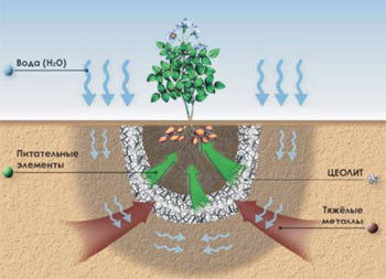 Fertilitzant mineral