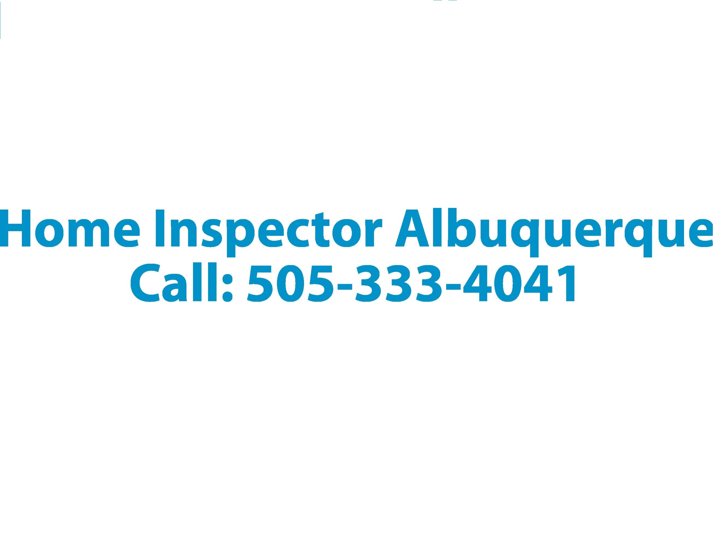 Home Inspector, Home inspection service