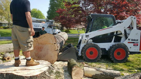 GREEN BAY TREE SERVICE