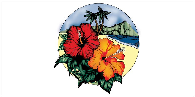 Beauteous-Bride-Hawaii-Pediatric-Vector-Design