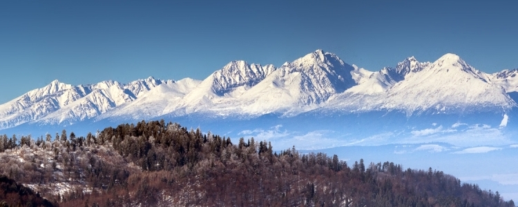 Пътувания и туризъм