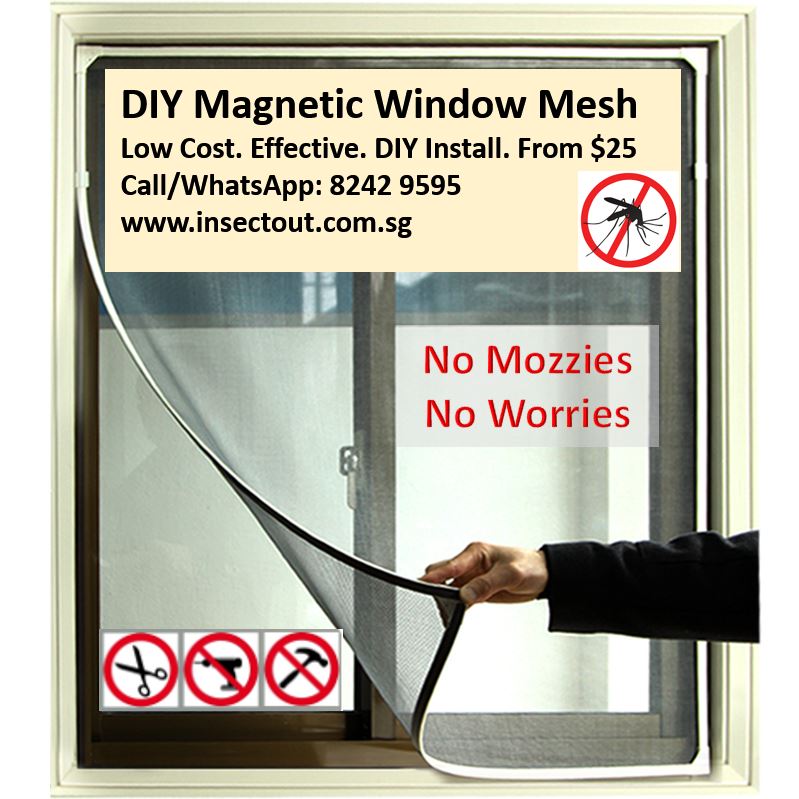 Mosquito net for windows