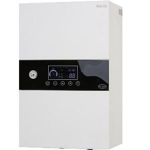 Wall hung electric boiler