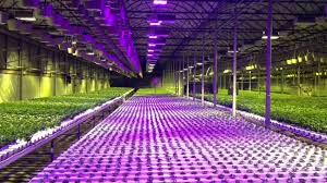 Hydroponics, მოწყობილობები და აქსესუარები