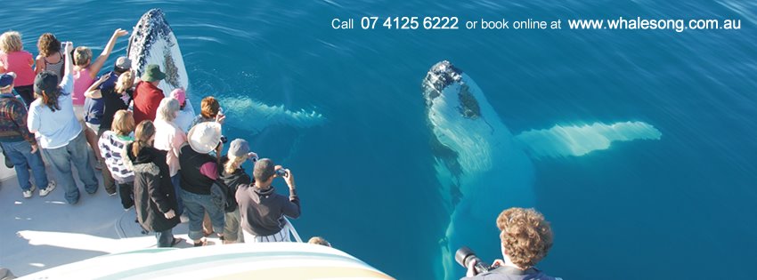 Whalesong Cruises Hervey Bay Whalesong Cruises Hervey Bay is a modern, environmentally friendly & multi-functional boat, providing tours out of Hervey Bay all year round.