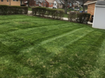 Lawn care