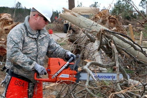 Servicii de tăiere a arborilor