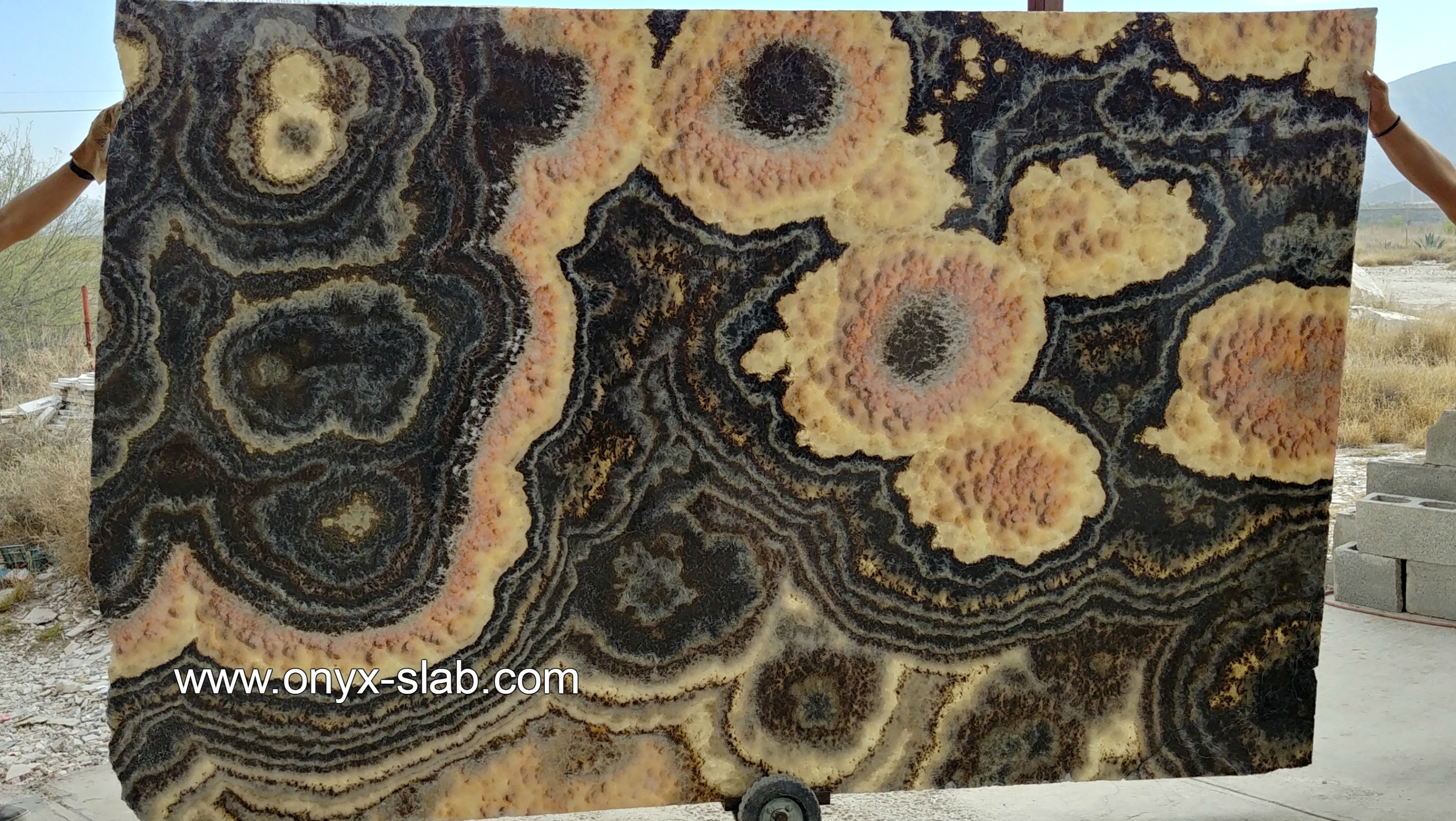 Black Onyx Slabs