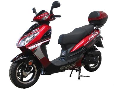 Taotao EVO 50 50cc Scooter 