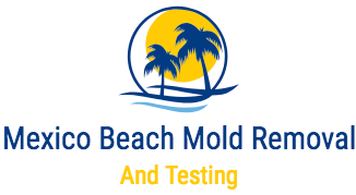 water damage restoration service, Mold remediation