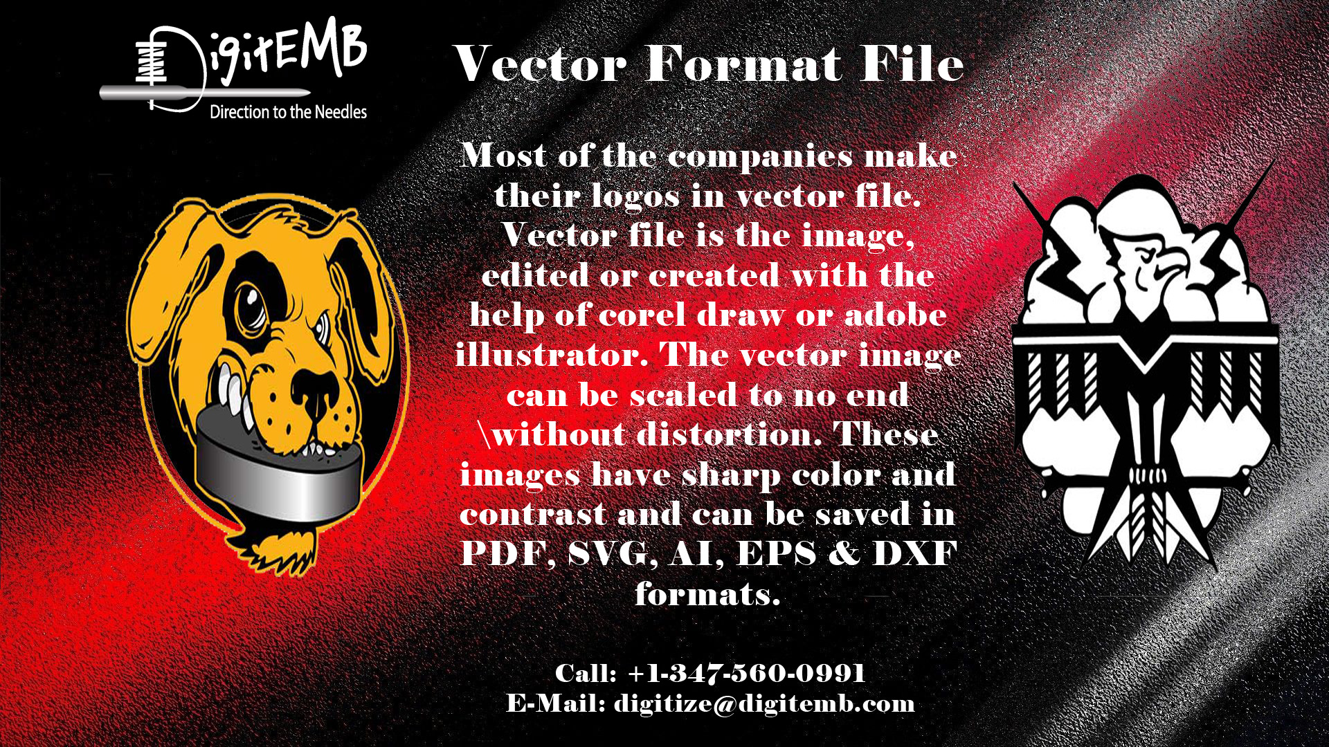 Vector Format File