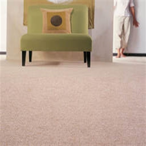 Carpet Cleaning Chattanooga TN