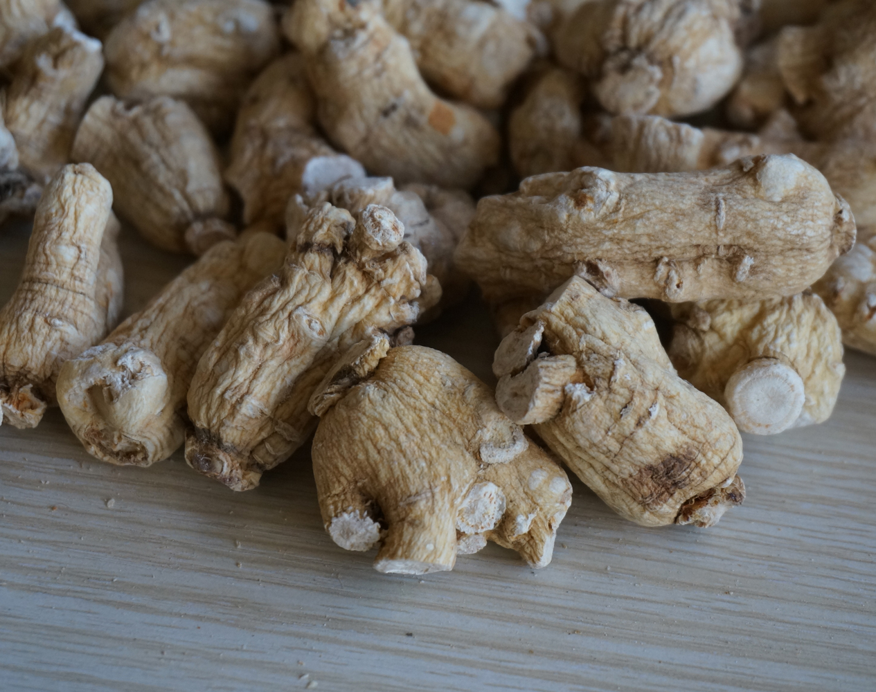 American Ginseng P.E