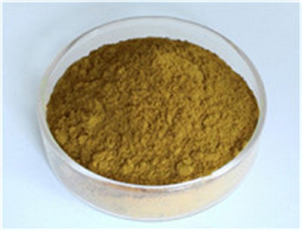 Cistanche Tubulosa Extract