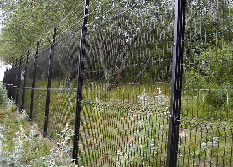 Welded Wire Mesh Fence