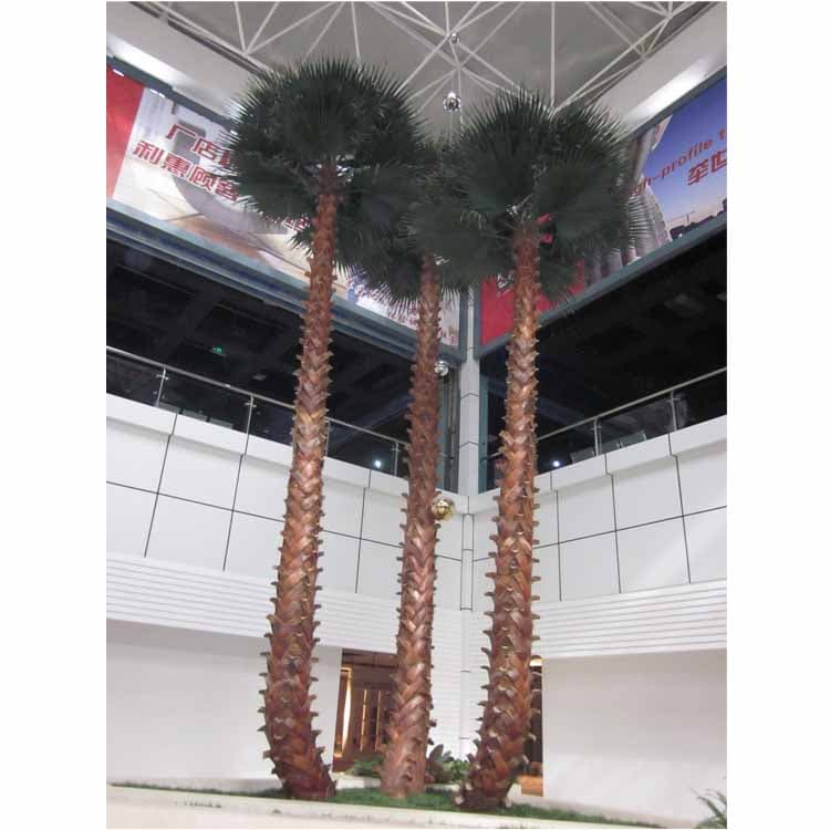 Preserved Washignton Palm