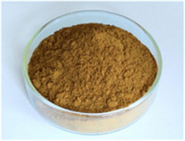 Ginkgo Biloba Extract Supplier