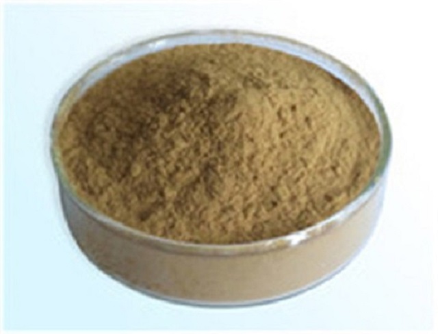 Sea Buckthorn Extract Manufacturer