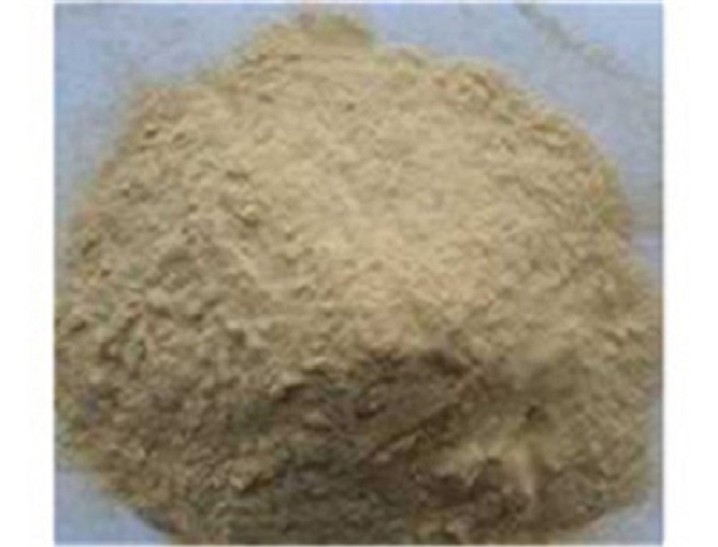 Sophora Root Extract Factory