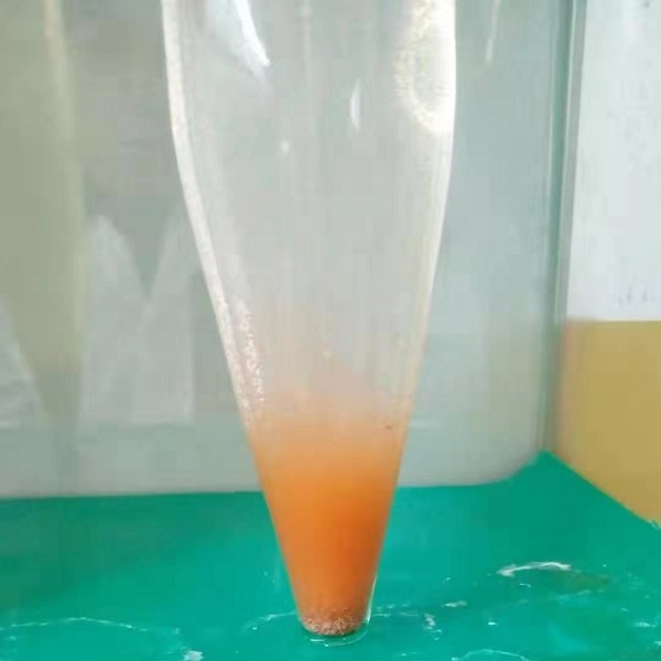 HATCHING RATE 85% ARTEMIA CYSTS