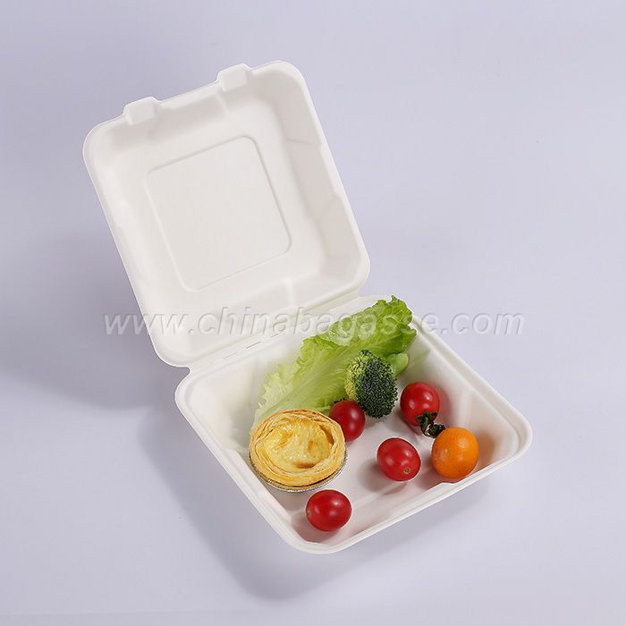 Paper Pulp Tableware 6 Inch Hamburger Box