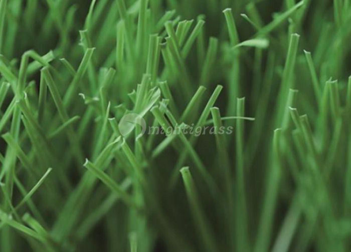 Residential Artificial Grass, MT-Venus