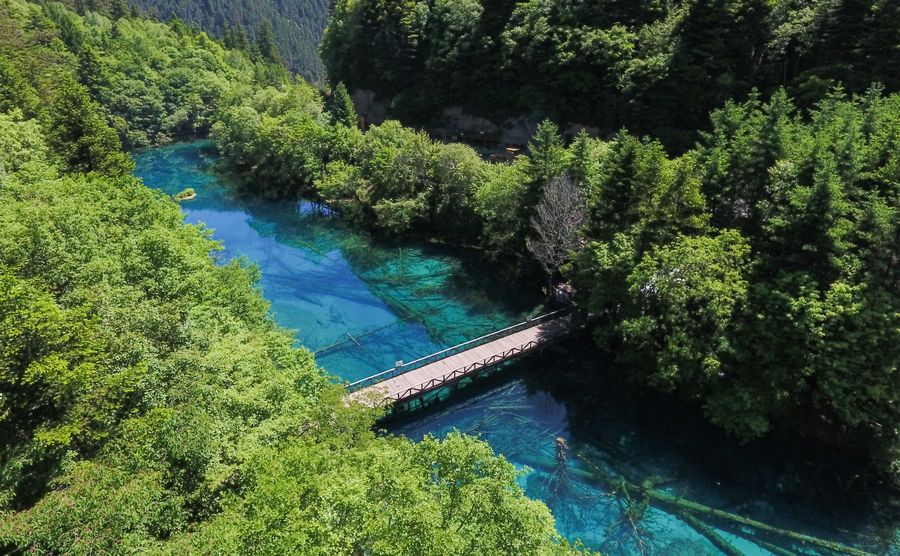 Famed scenic spot Jiuzhaigou to reopen after quake