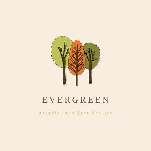 Evergreen Arborist Tree Service