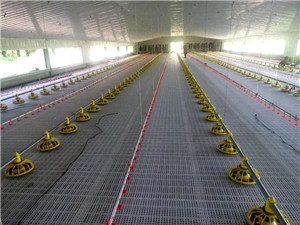 Prefabricated Steel Structure Broiler House for Poultry Shed  Cage Layer Chicken House china  Broiler Chicken House