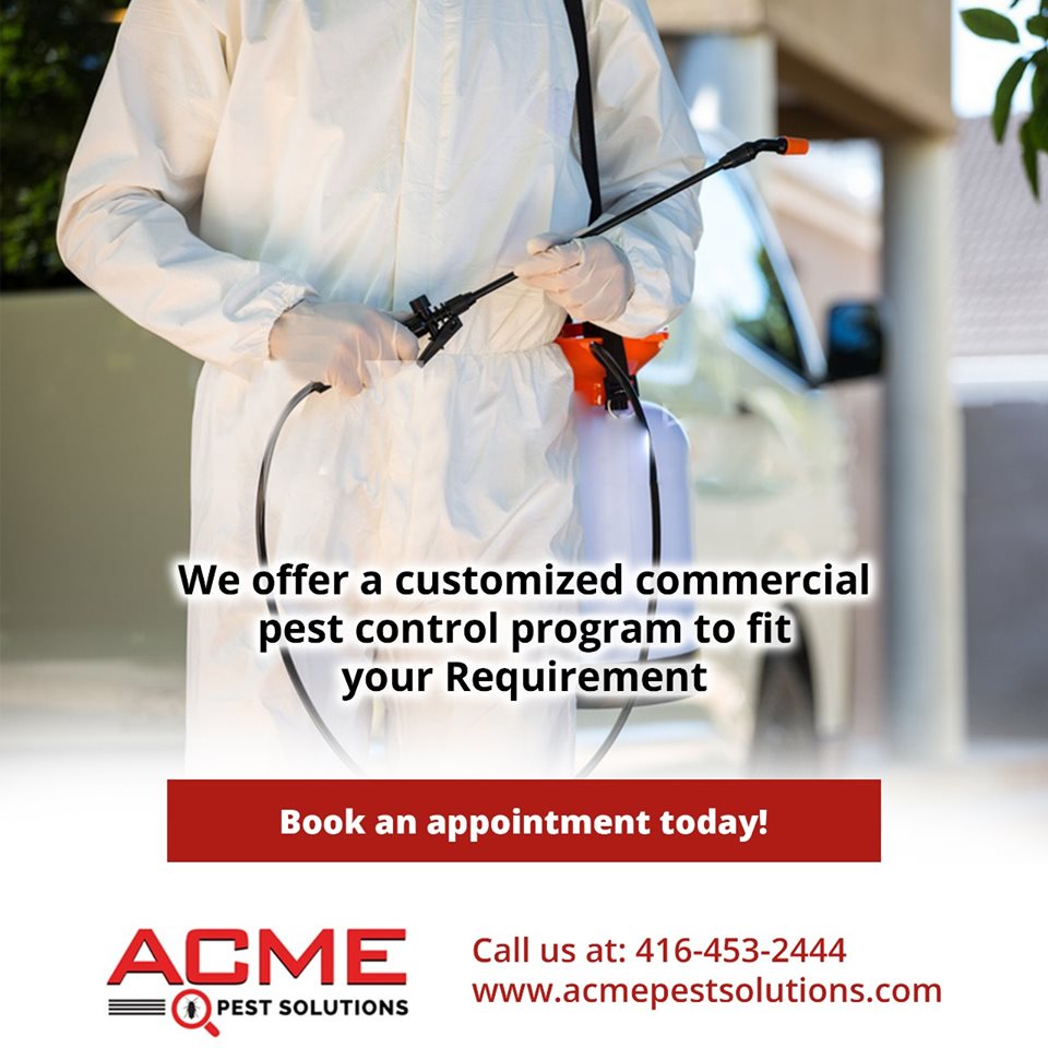 PROFESSIONAL PEST CONTROL BRAMPTON COMPANY Acme Pest Solution