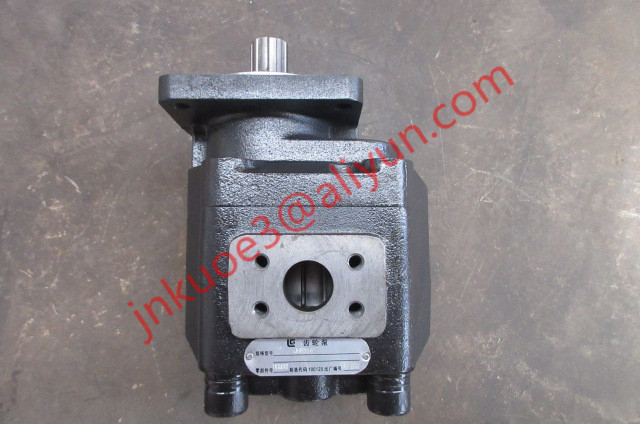 11C0013 gear pump liugong part  CLG856 ZL40B ZL30E ZL50C LG835