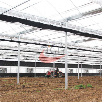 Agriculture Plastic Large Multi Span Greenhouse for Sale 