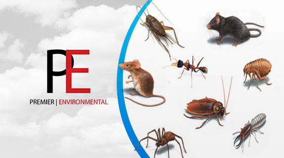 Professional Pest Control Services throughout Manchester