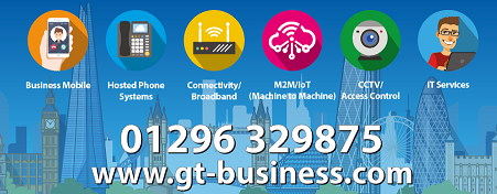 GT BUSINESS SOLUTIONS LTD