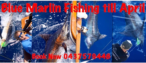 INNKEEPER SPORT FISHING CHARTERS EXMOUTH