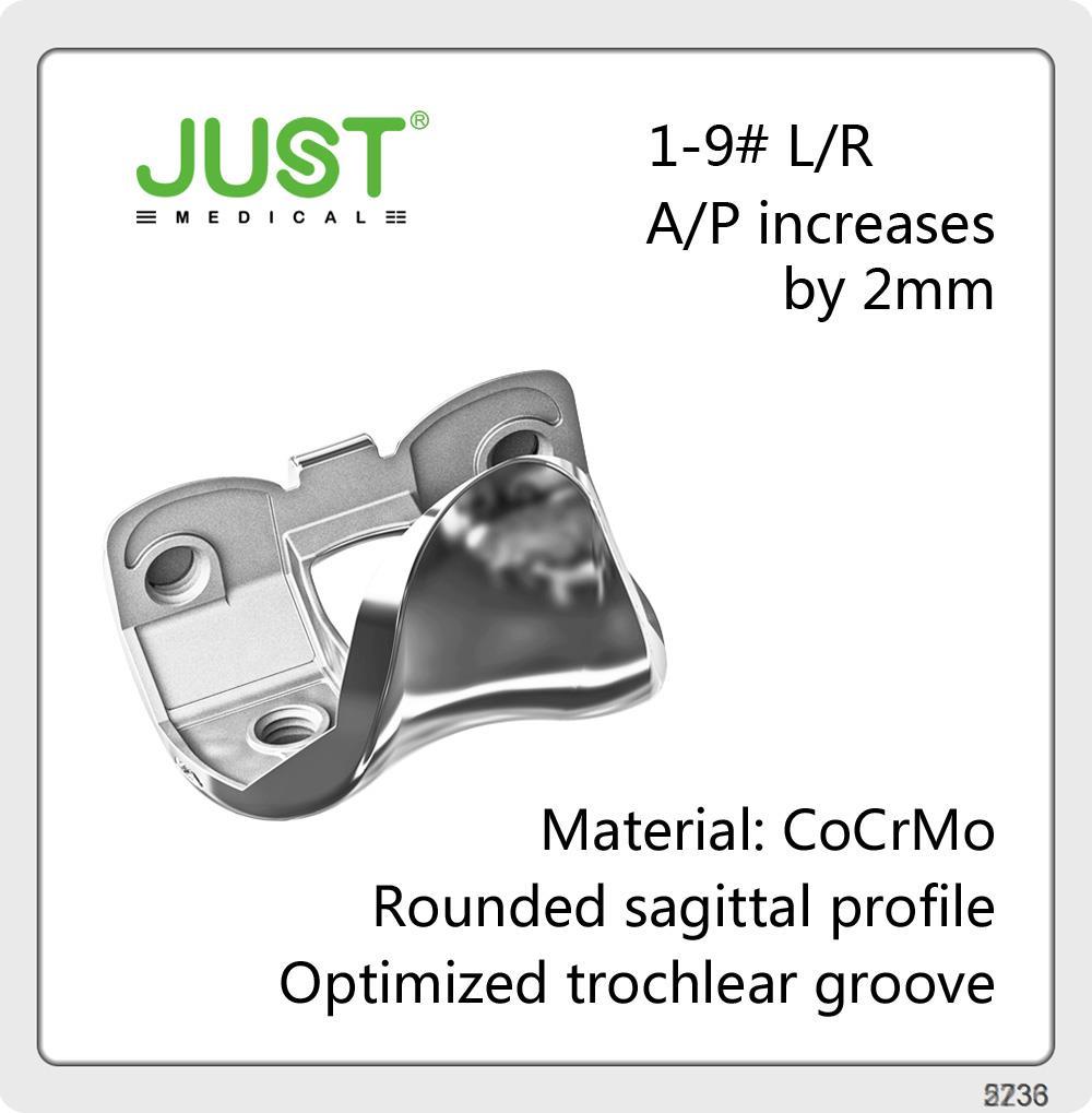 High Flexion Total Knee System Material: CoCrMo+Imported PE