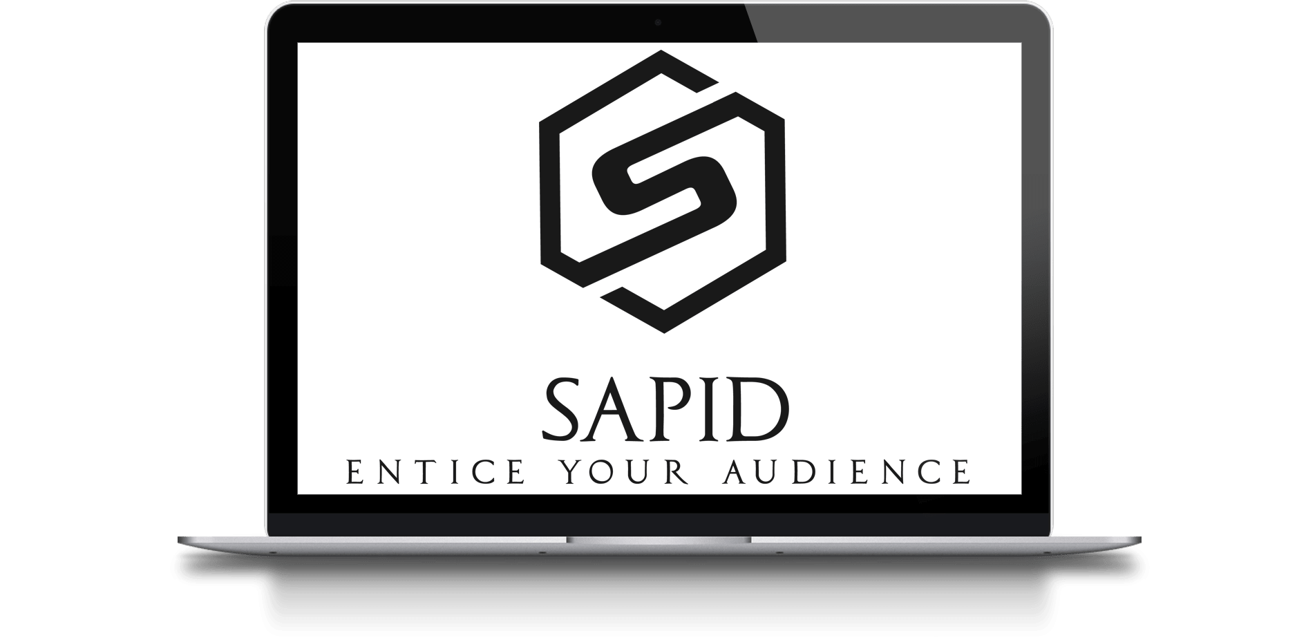 SAPID AGENCY NYC SEO