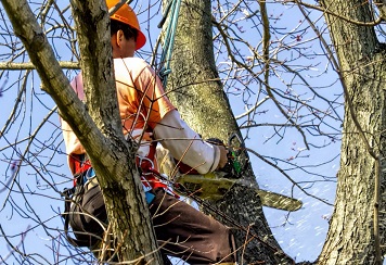 Werkzaamheden voor landschapsarchitectuur