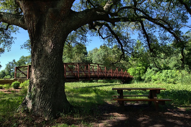 NEW ORLEANS CITY PARK