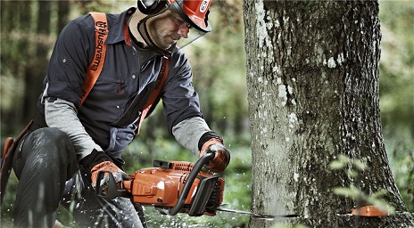 ARBORIST DIRECT ABERDEEN