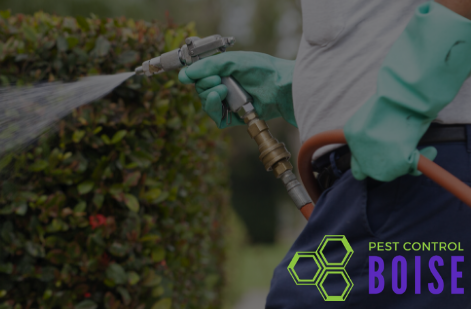 PEST CONTROL BOISE