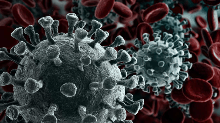 Coronavirus-Infoportal